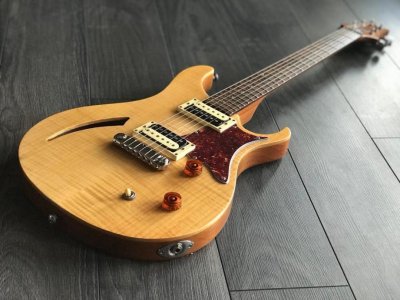 prs se custom semi-hollow.jpg