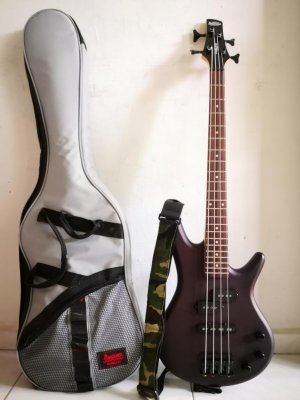 Ibanez GSRM20.jpg