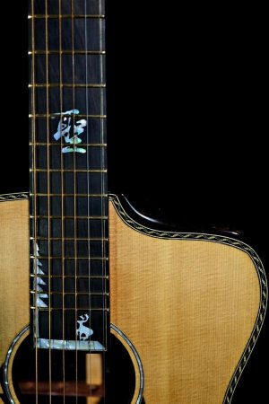 AdamCHAN Guitars #007-010.jpg