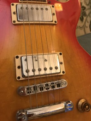 humbuckers.jpg