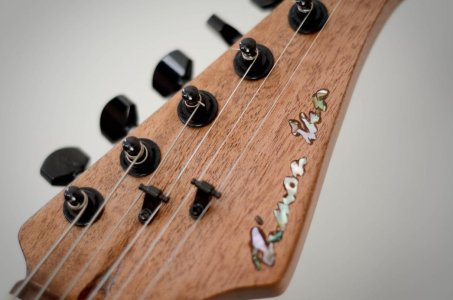 Super Strat (16 of 44).jpg