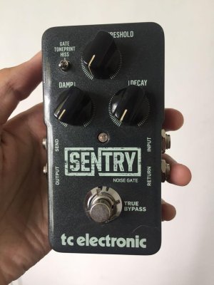 tc_electronics_sentry_noise_gate_1579579499_cd41513f_progressive.jpg