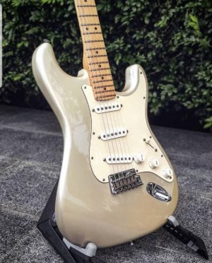 fender1111.jpg