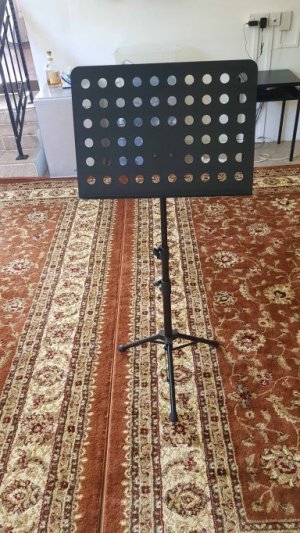 music stand-reduced.jpg