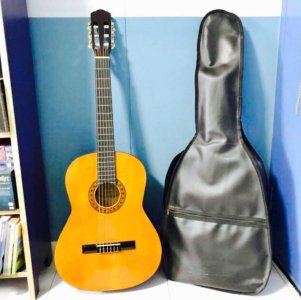 acoustic_tgm_guitar_with_nylon_strings_1555680715_e00a86ba_progressive.jpg