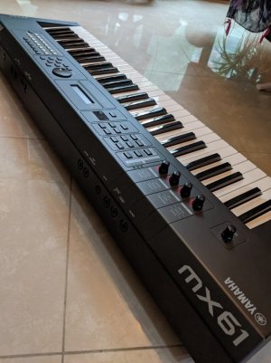 mx61iv.jpg