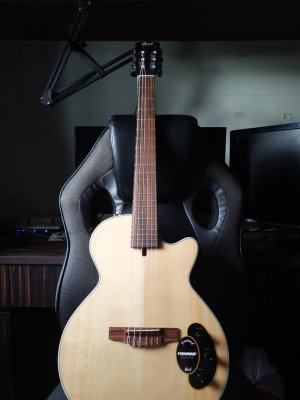 Cort nyelectric 1.jpg