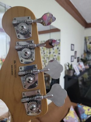 pbass2.jpg