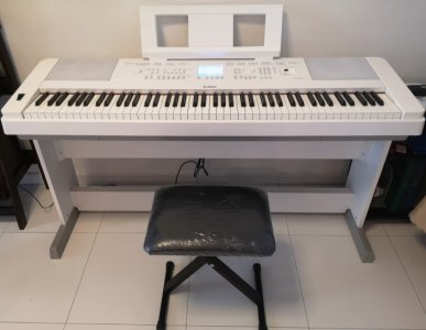 DGX-660.jpg