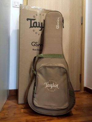 taylor_gs_mini_mahogany_34_aco_1622716131_3381f869_progressive.jpg