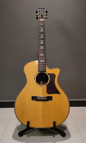 custom_built_guitar_1623516844_c09f1747_progressive.jpg