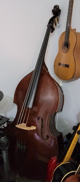dbass.jpg