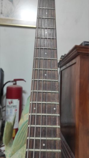 OLP Signature Series Electric Guitar 2.jpg