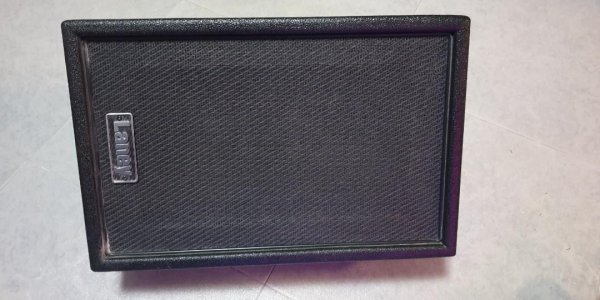 laney_irtx_frfrpowered_cab_1631395323_619ed281_progressive.jpg