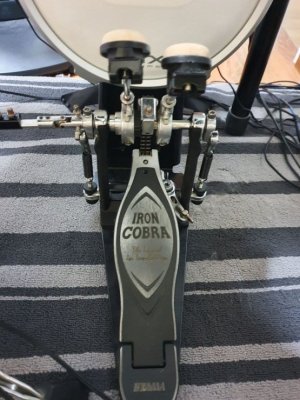 cobra2.jpg