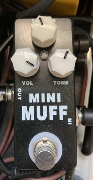 Mini Muff.jpg
