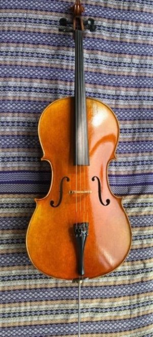 cello_44__giovanni_maturato_1638393515_ee41d94c_progressive.jpg