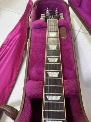 GIBSON 5.jpg