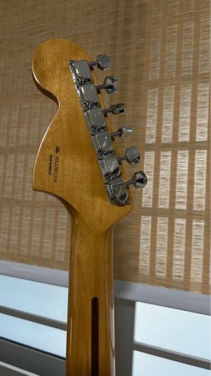 fender_vintera_70s_telecaster__1691923124_3d40cee5_progressive.jpg