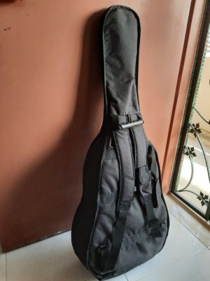 fg730s_soft_gig_bag_back.jpg