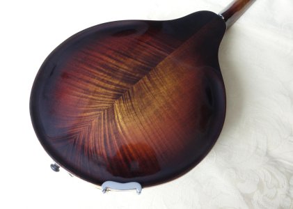 Howard Morris Mandolin (7).JPG