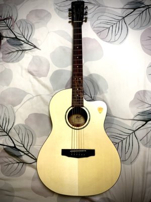 Cort Acoustic Guitar with Bag Medium.jpeg