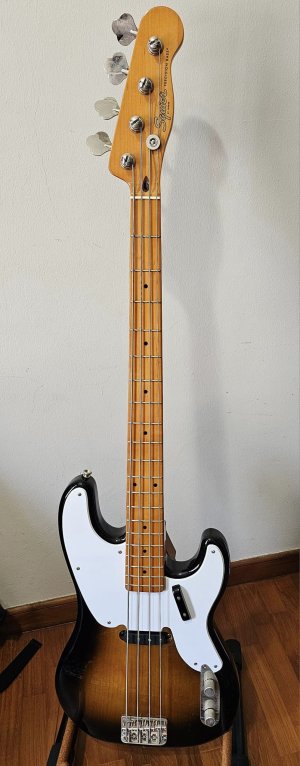 Bass1.jpg