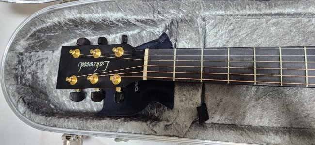 lakewood_d48_custom_acoustic_g_1754835509_46a953ea_progressive.jpg