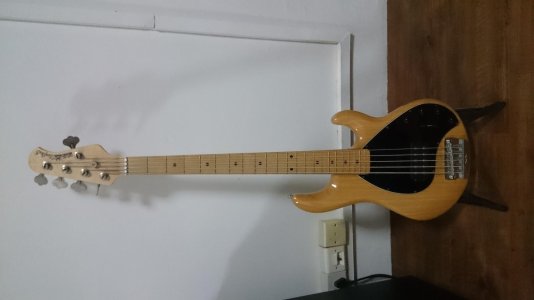 stingray 5.jpg
