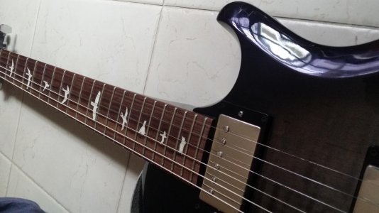 20150323_174918.jpg
