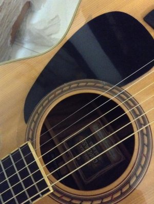 photo 1 (1).jpg