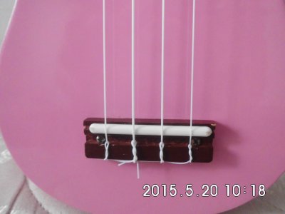 CIMG0785(1).jpg