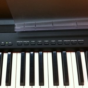 piano3.jpg