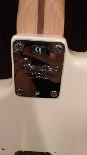 IMAG0478.jpg