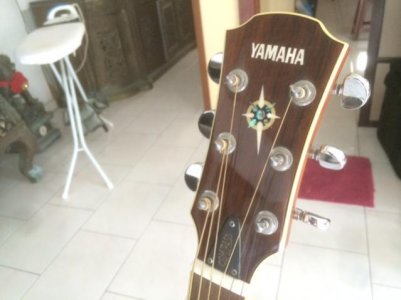 photo 3.jpg photo 3.jpg