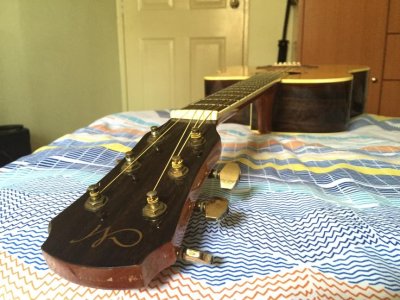 IMG_3785.jpg