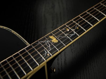 takamine-limited-edition-series-ltd2012-michi-331788.jpg