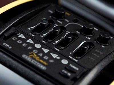 takamine-ltd-2012-michi-controls-970-80.jpg