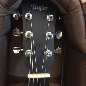 gs_mini_taylor_1439770486_6396265b.jpg