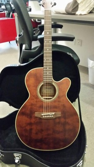 Takamine 1.jpg