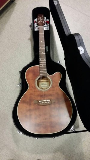 Takamine 2.jpg