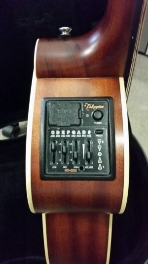 Takamine 3.jpg