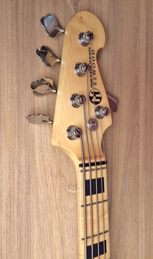 Maruszczyk Elwood X5-24_headstock.jpg