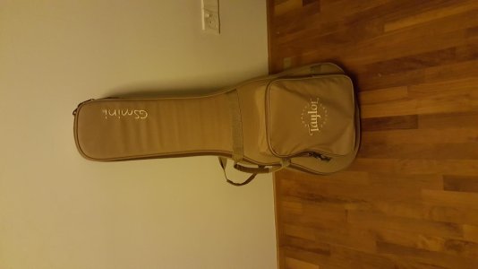 GS Mini Bag.jpg