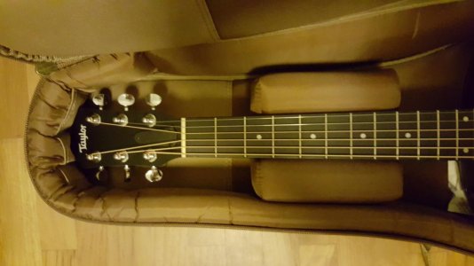 Headstock in Case.jpg