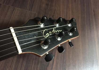 godin 3.jpg godin 3.jpg