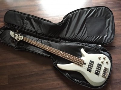 bass1.jpg bass1.jpg