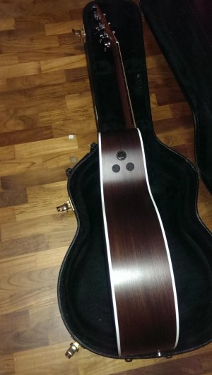 IMAG1383.jpg