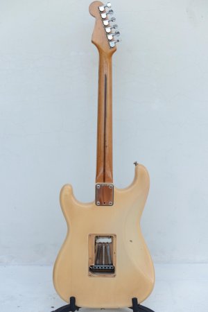 DSC_7235.jpg