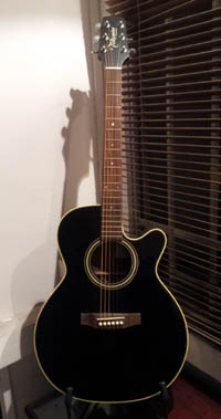 takamine-full-s.jpg